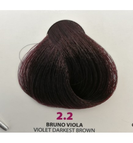 Tintura Wind Colour 2.2 Bruno Viola 100 ml
